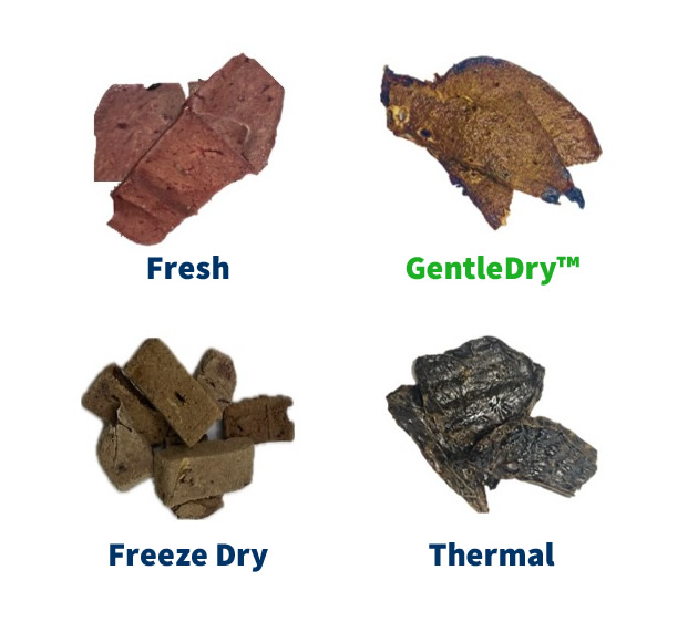 GentleDry™ Preserves What Others Destroy